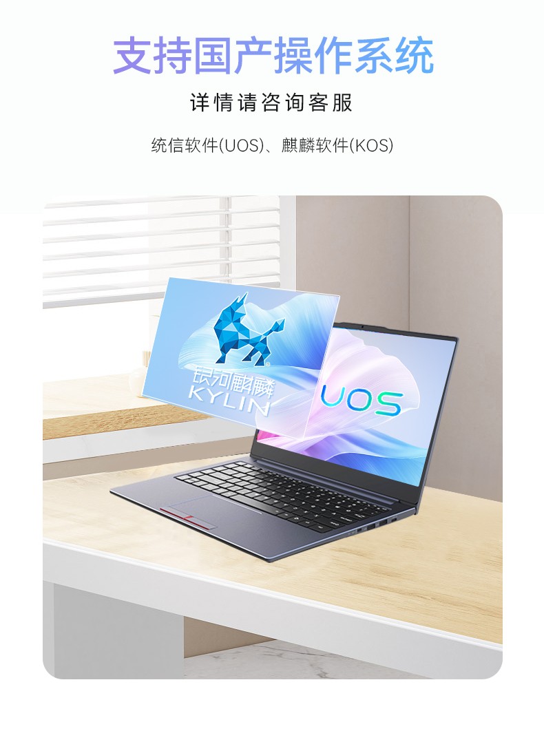 国产笔记本电脑,龙芯3A5000M处理器,DT-S14L4UD.jpg